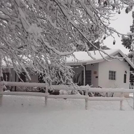 Sycamore Avenue Treehouses & Cottages Accommodation Windy Chambre photo