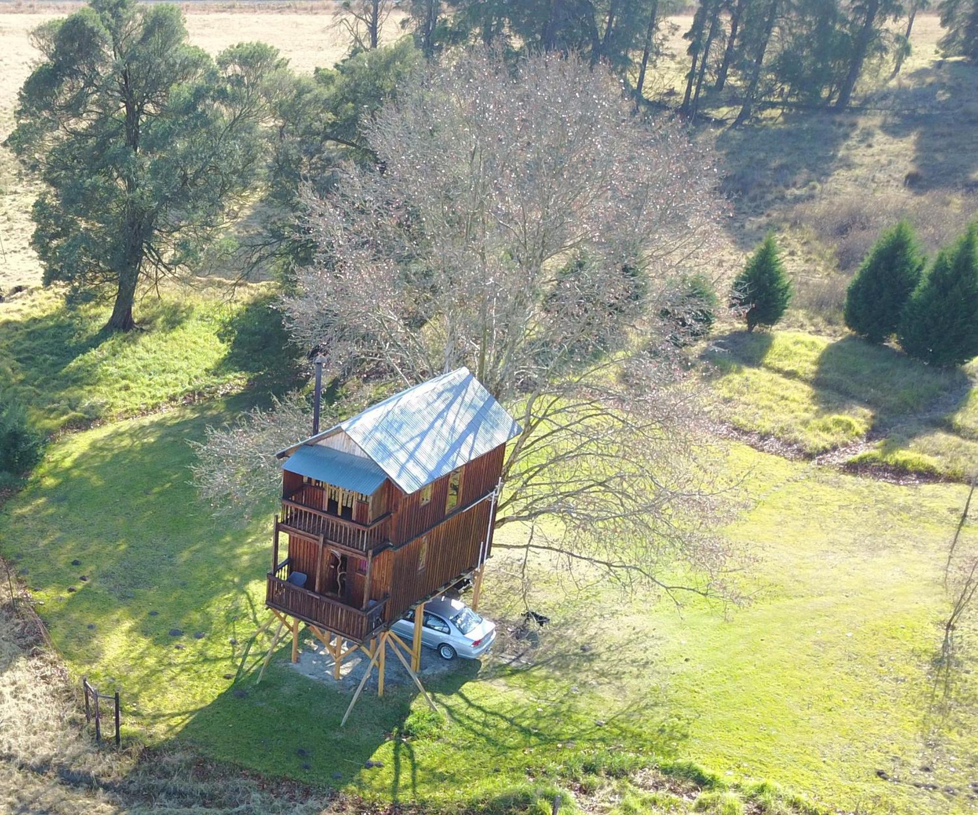 Sycamore Avenue Treehouses & Cottages Accommodation Windy Chambre photo