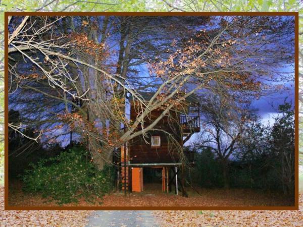 Sycamore Avenue Treehouses & Cottages Accommodation Windy Chambre photo