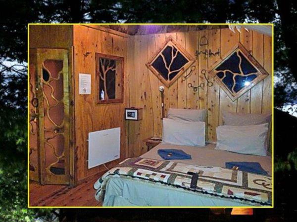 Sycamore Avenue Treehouses & Cottages Accommodation Windy Chambre photo