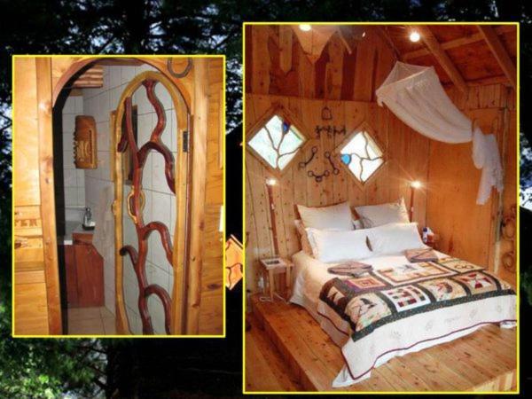 Sycamore Avenue Treehouses & Cottages Accommodation Windy Chambre photo