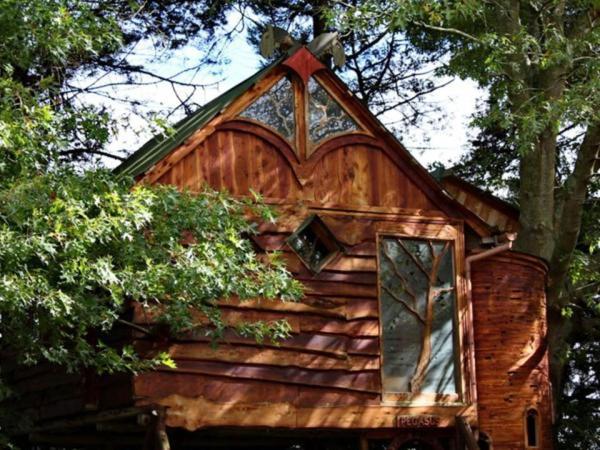 Sycamore Avenue Treehouses & Cottages Accommodation Windy Chambre photo