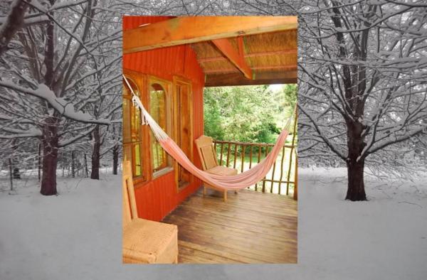 Sycamore Avenue Treehouses & Cottages Accommodation Windy Chambre photo