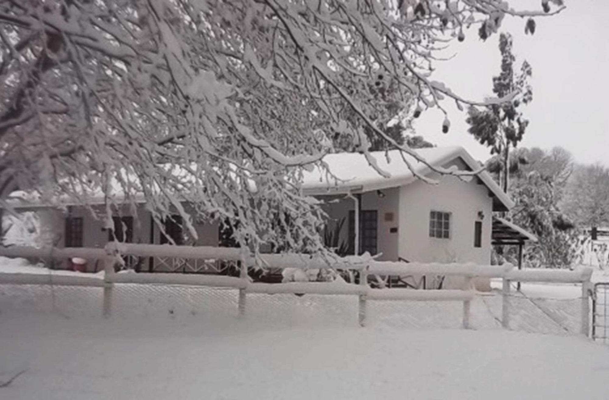 Sycamore Avenue Treehouses & Cottages Accommodation Windy Chambre photo